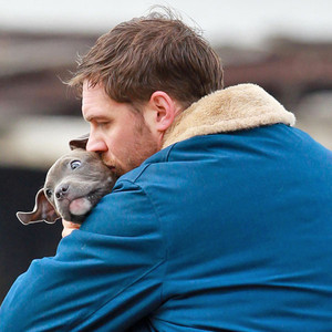 Tom Hardy, Dog Tom Hardy, Dog